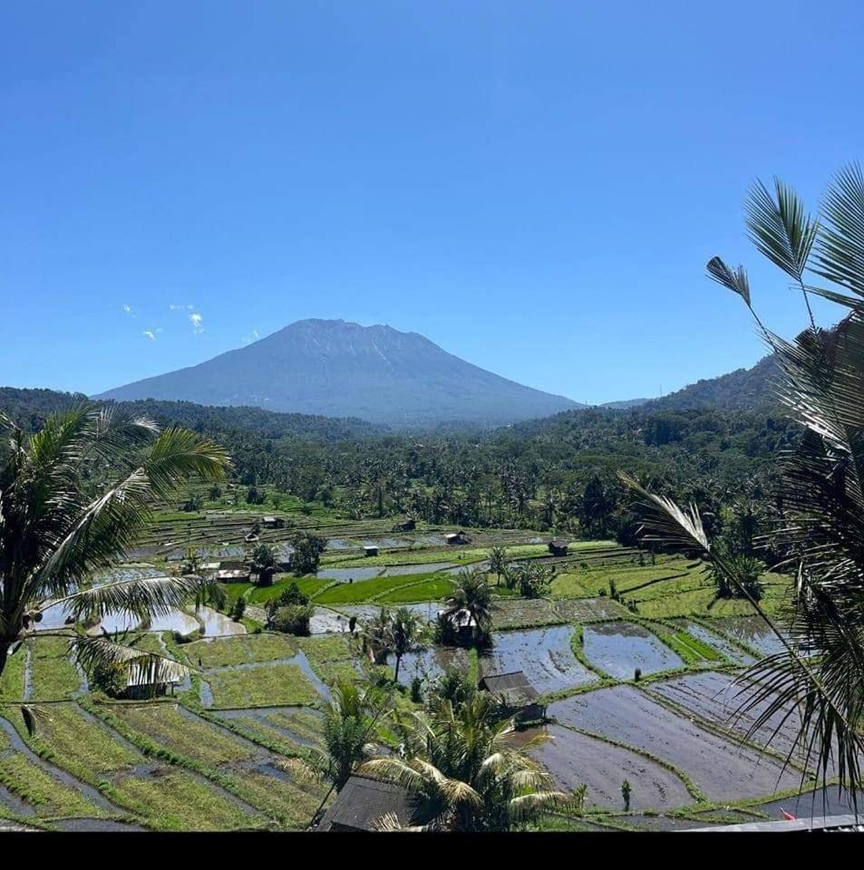 Lumbung Ayu Sari And Spa Sidemen  Luaran gambar