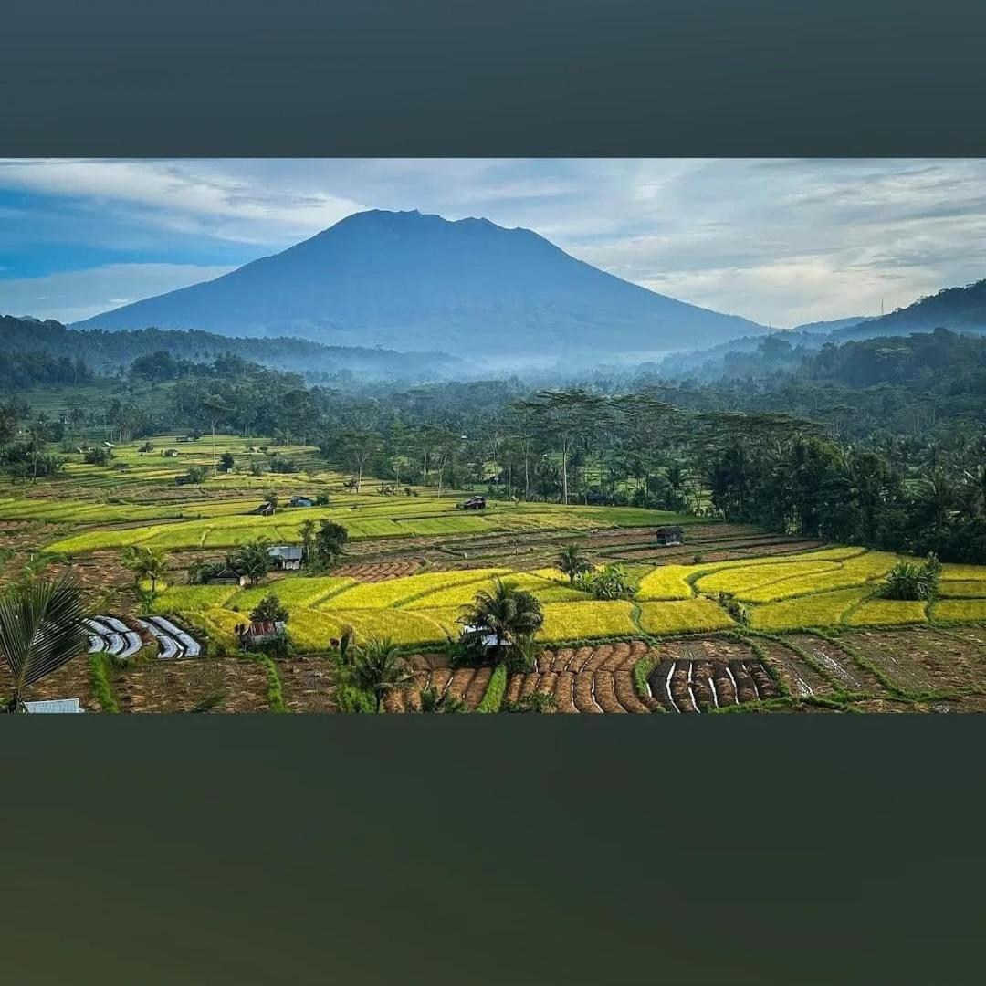 Lumbung Ayu Sari And Spa Sidemen  Luaran gambar