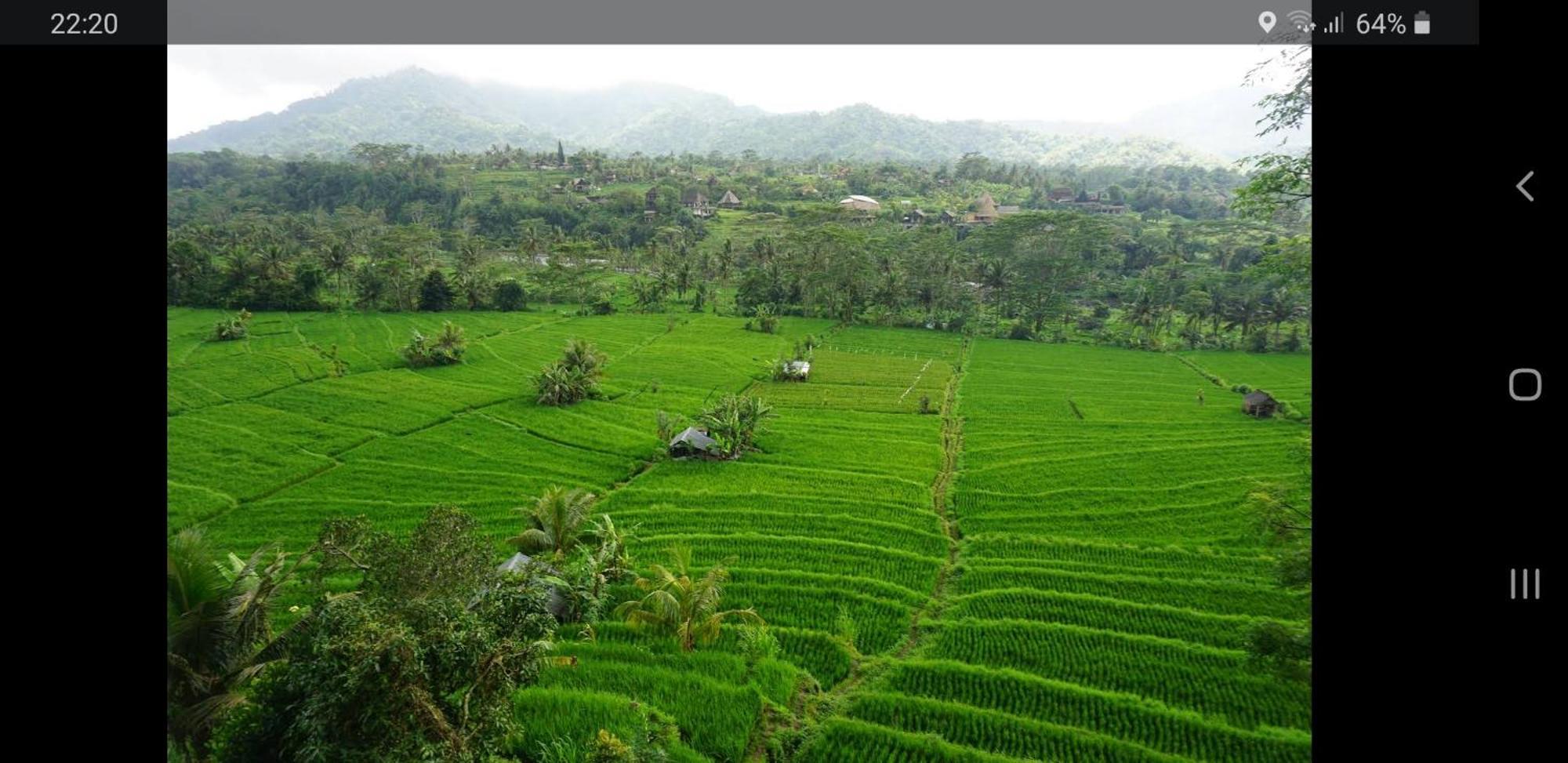 Lumbung Ayu Sari And Spa Sidemen  Luaran gambar