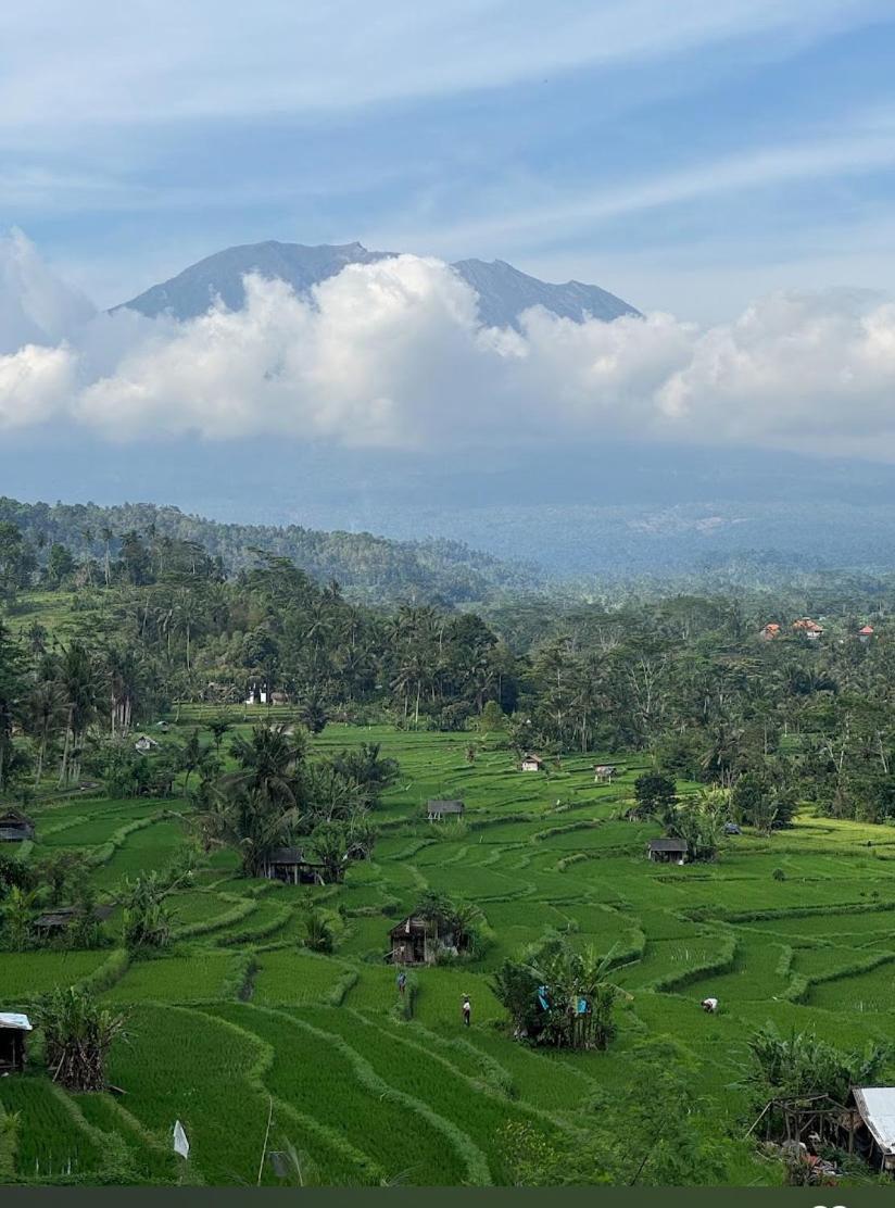 Lumbung Ayu Sari And Spa Sidemen  Luaran gambar